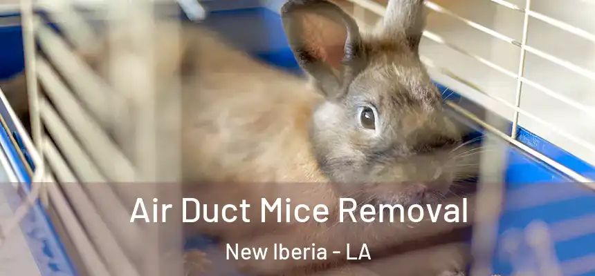 Air Duct Mice Removal New Iberia - LA