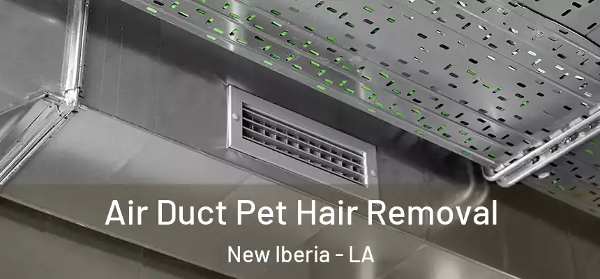 Air Duct Pet Hair Removal New Iberia - LA