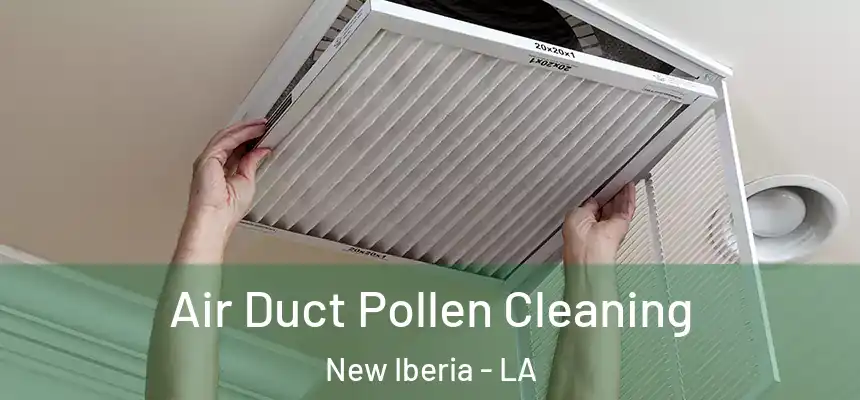Air Duct Pollen Cleaning New Iberia - LA
