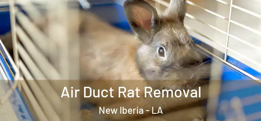 Air Duct Rat Removal New Iberia - LA