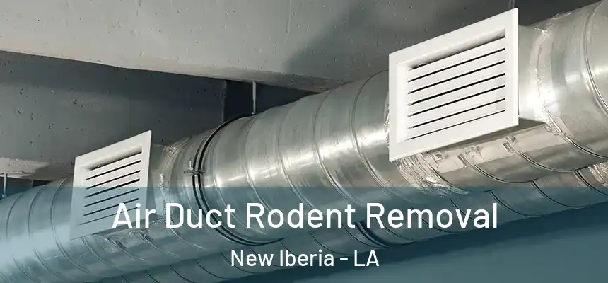 Air Duct Rodent Removal New Iberia - LA