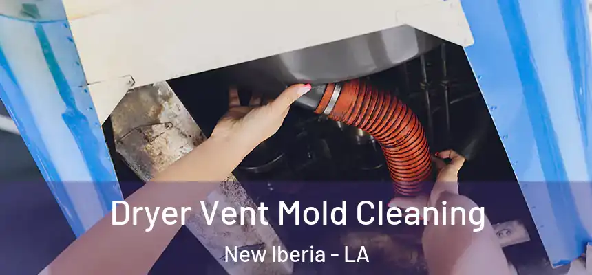 Dryer Vent Mold Cleaning New Iberia - LA
