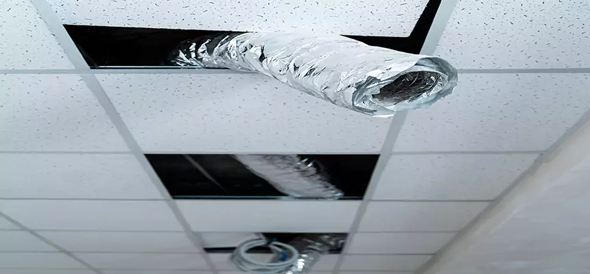 Affordable HVAC Sanitizing After Pest Removal in New Iberia