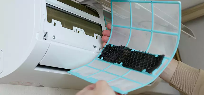 Gentle Ductwork Odor-Control Pet Dander Duct Cleaning in New Iberia, LA