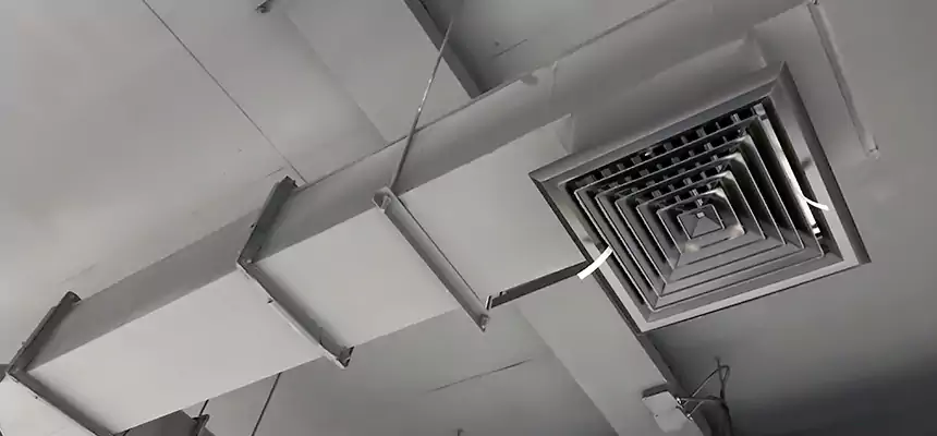 Our Rodent Droppings In Vents Services in New Iberia, LA