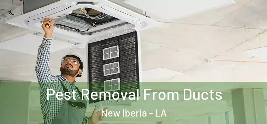 Pest Removal From Ducts New Iberia - LA