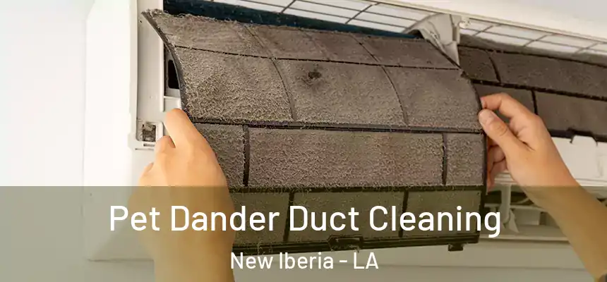 Pet Dander Duct Cleaning New Iberia - LA