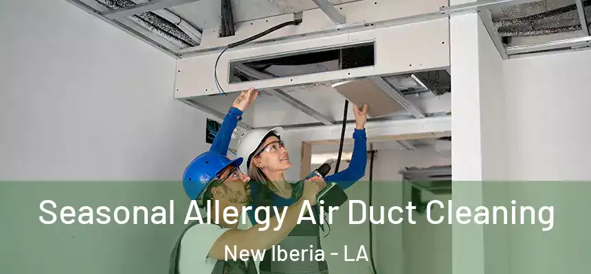 Seasonal Allergy Air Duct Cleaning New Iberia - LA