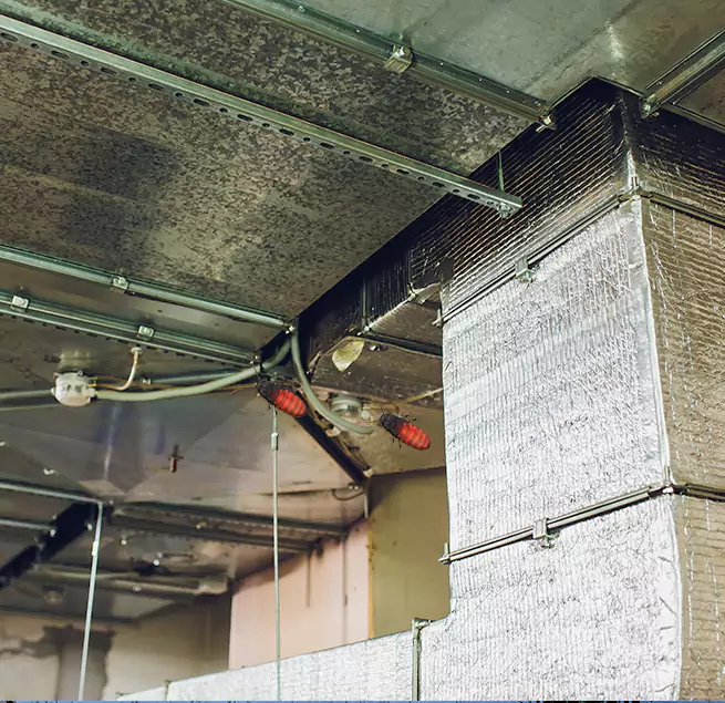 Why Homeowners & Businesses Trust Us in New Iberia, LA?