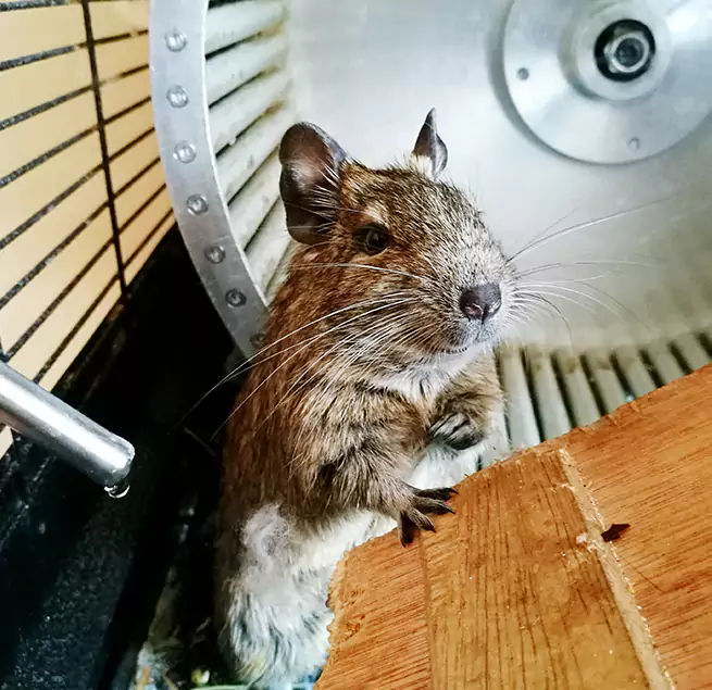 Why Homeowners & Businesses Trust Us New Iberia, LA