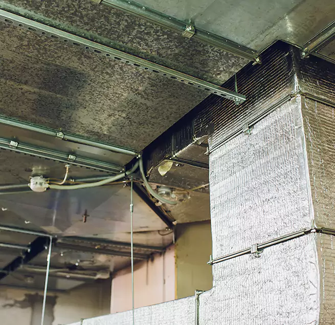 Why Homeowners & Businesses Trust Us in New Iberia, LA?